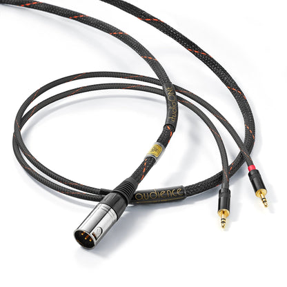 Audience StudioOne Audiophile Interconnects and Speaker Cables - Minnesota Audio