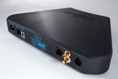 Kalista Audio Dreamplay Stream Music Streamer DAC - Minnesota Audio