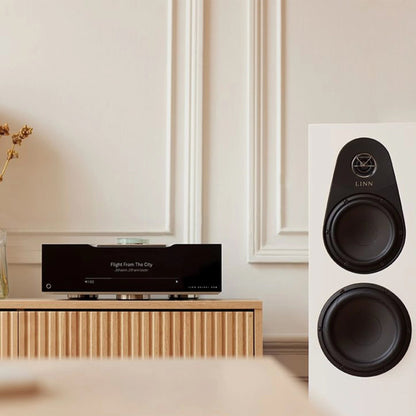 Linn Audio 150 Floor Standing Speakers - Minnesota Audio