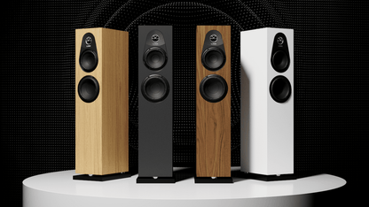 Linn Audio 150 Floor Standing Speakers - Minnesota Audio