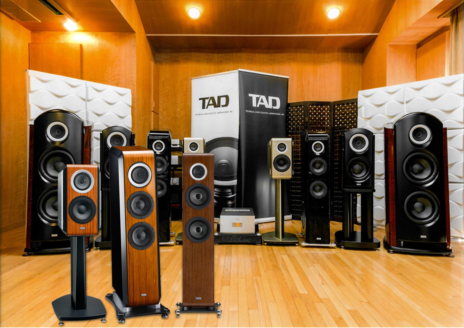 TAD Evolution One Loudspeakers - Minnesota Audio