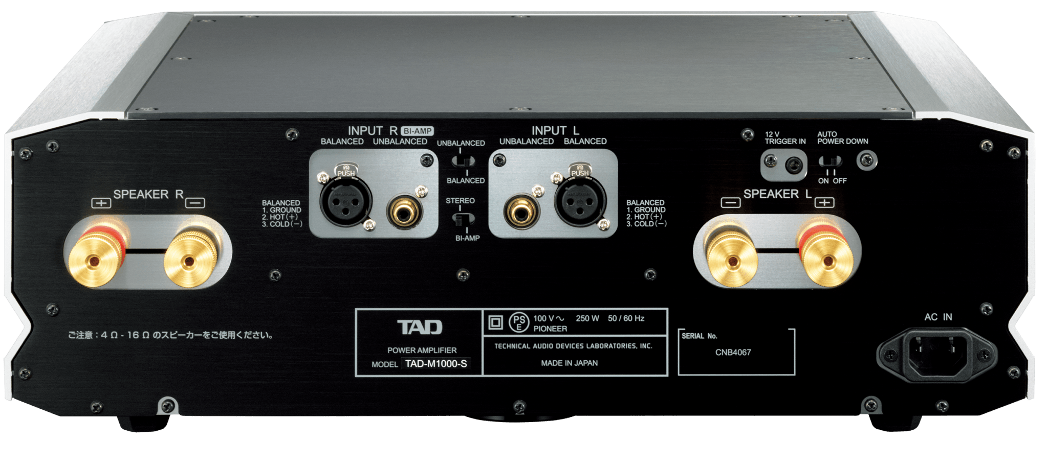 TAD Labs Evolution Series M1000 Power Amplifier - Minnesota Audio